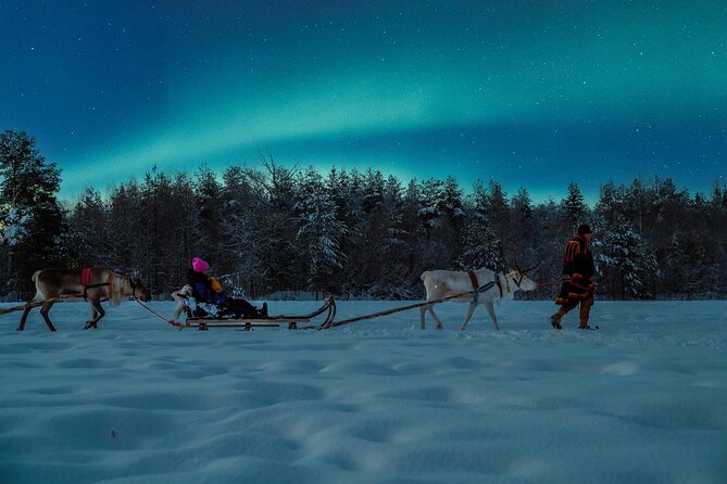 Reindeer Sleigh Ride Across the Night in Apukka Resort Rovaniemi - Who will enjoy this most?