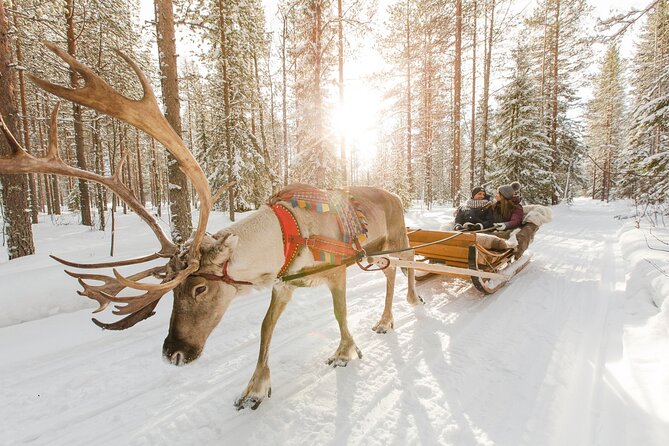 Reindeer Sleigh Ride and Farm Experience from Rovaniemi - The sleigh ride: memorable, but measured in minutes
