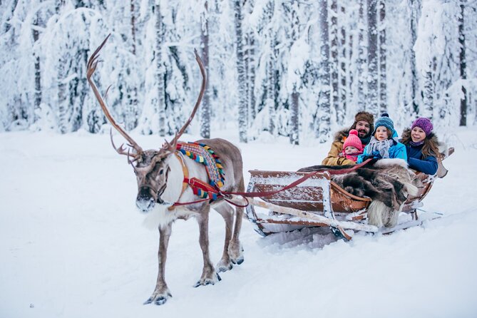 Reindeer Sleigh Ride and Farm Experience from Rovaniemi - Meeting in central Rovaniemi at Maakuntakatu 29
