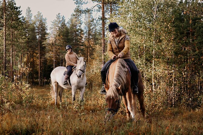 Riding Tour with Finnhorses at Santa Claus Village - Timing, clothing, and arrival advice