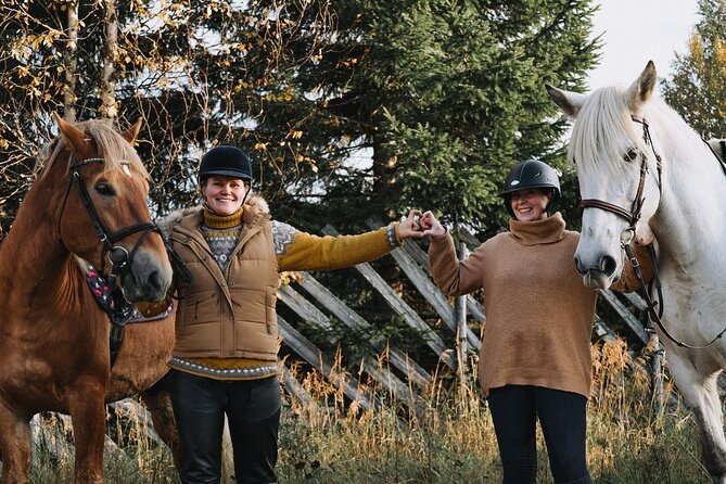 Riding Tour with Finnhorses at Santa Claus Village - One hour among snowy trees