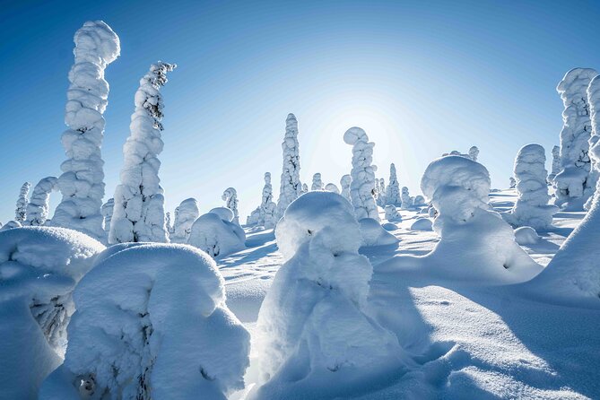 Riisitunturi wilderness adventure - How demanding is the walk?