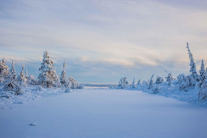 Riisitunturi wilderness adventure - Who will enjoy this day most?