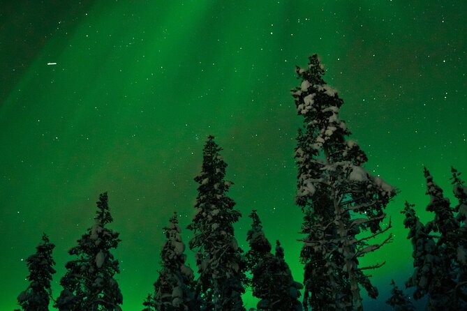 Rovaniemi 2 days Activities Package - A Two-Hour Northern Lights Search