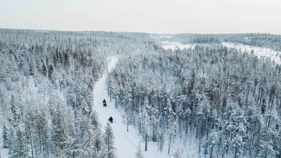 Rovaniemi: 3-Hour Snowmobile Safari in Lapland - What the four-hour outing really includes