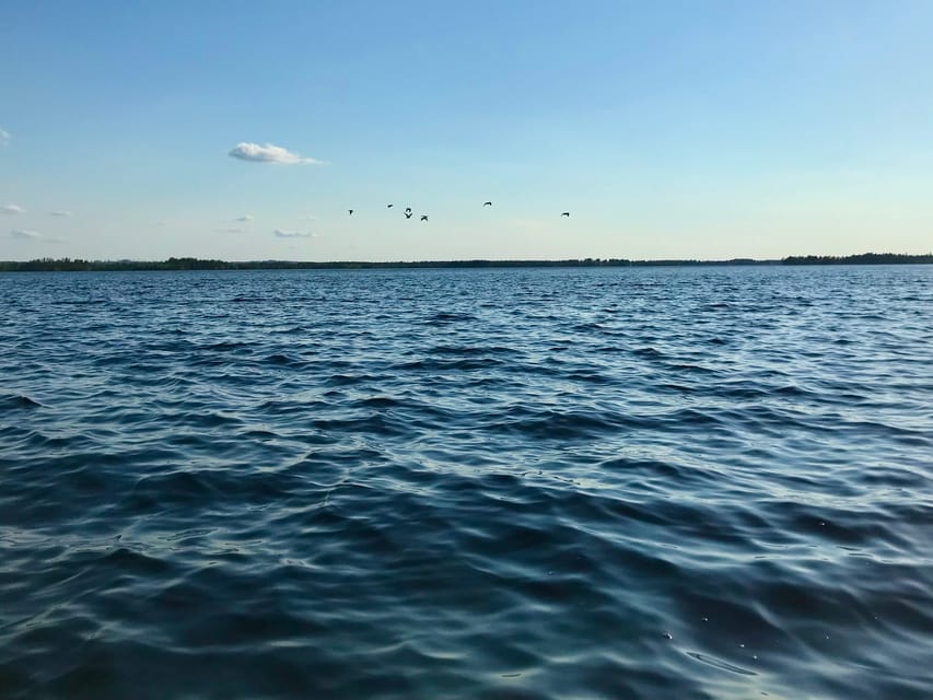 Rovaniemi: All-Day Canoe Adventure - Who will enjoy this most