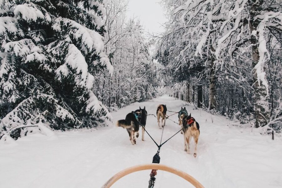 Rovaniemi: Apukka Husky Adventure - Getting dressed for Lapland’s cold