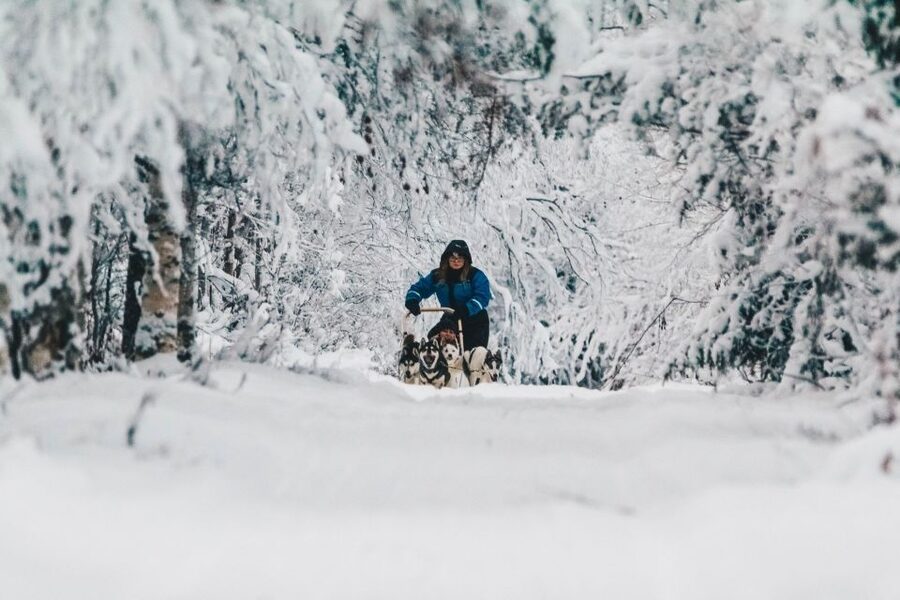 Rovaniemi: Apukka Husky Adventure - From Rovaniemi to Apukka by shuttle