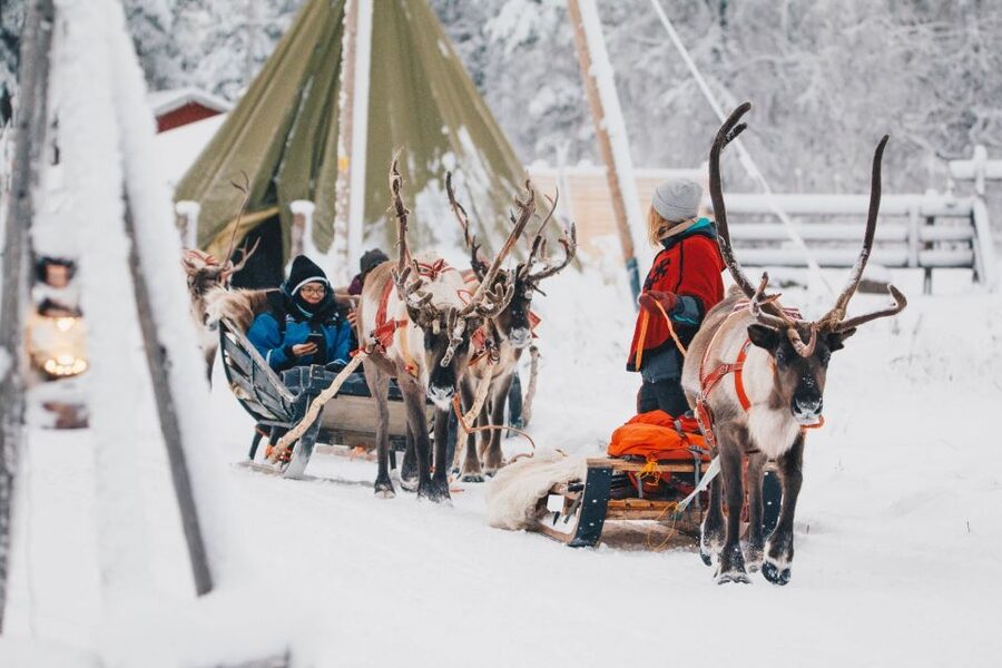 Rovaniemi: Apukka Reindeer Journey - Key points to know before you book