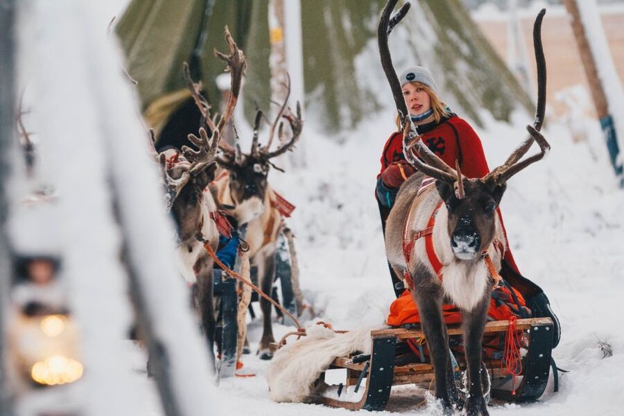 Rovaniemi: Apukka Reindeer Journey - Is $206 a fair price?