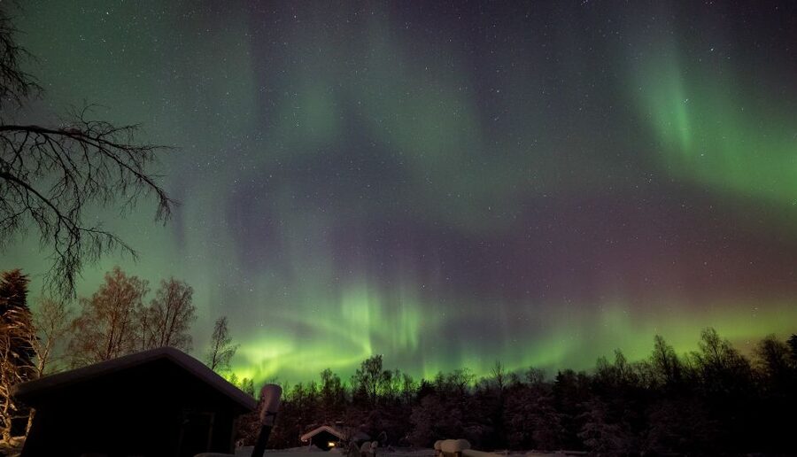 Rovaniemi: Apukka Reindeer Sleigh Ride at Night - A silent ride into the Finnish forest