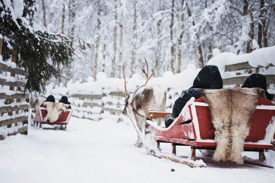 Rovaniemi: Arctic Circle Highlights by Snowmobile - Snowmobile training before the forest ride