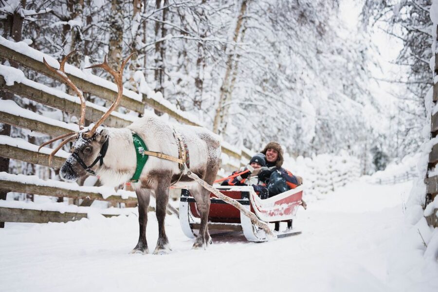 Rovaniemi: Arctic Circle Highlights by Snowmobile - Who gets the best value from this tour