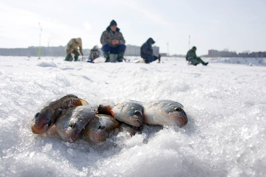 Rovaniemi: Arctic Circle Ice Fishing Experience - Practical ways to enjoy it more