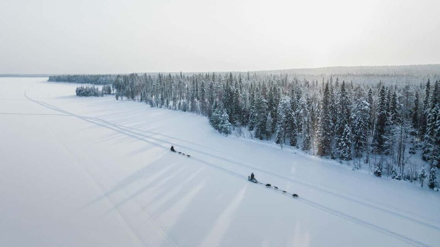 Rovaniemi: Arctic Circle Long Trail Husky Adventure - Taking Control of a 7 Kilometer Husky Safari