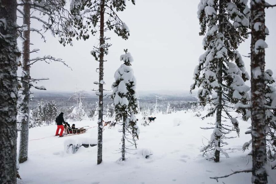 Rovaniemi: Arctic Circle Long Trail Husky Adventure - My Take on the Overall Experience