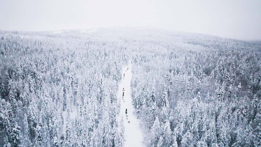 Rovaniemi: Arctic Circle Long Trail Husky Adventure - Should You Book This Rovaniemi Husky Tour?