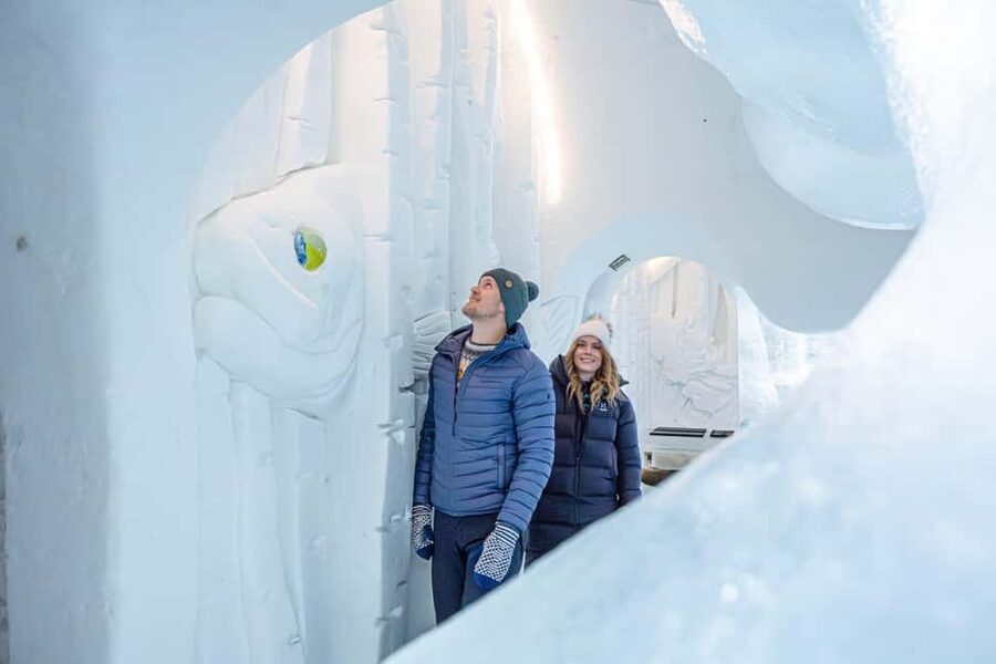 Rovaniemi: Arctic Snow Hotel Tour - Who will enjoy this Arctic outing?