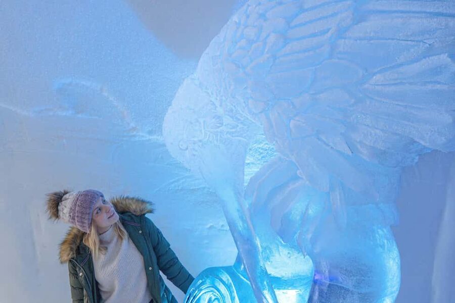 Rovaniemi: Arctic Snow Hotel Tour and Snow Sauna Experience - Is $207 a fair price?