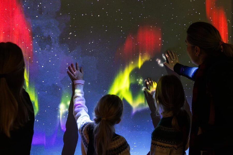 Rovaniemi: Arktikum Science Centre and Museum Entry Ticket - Key points at a glance