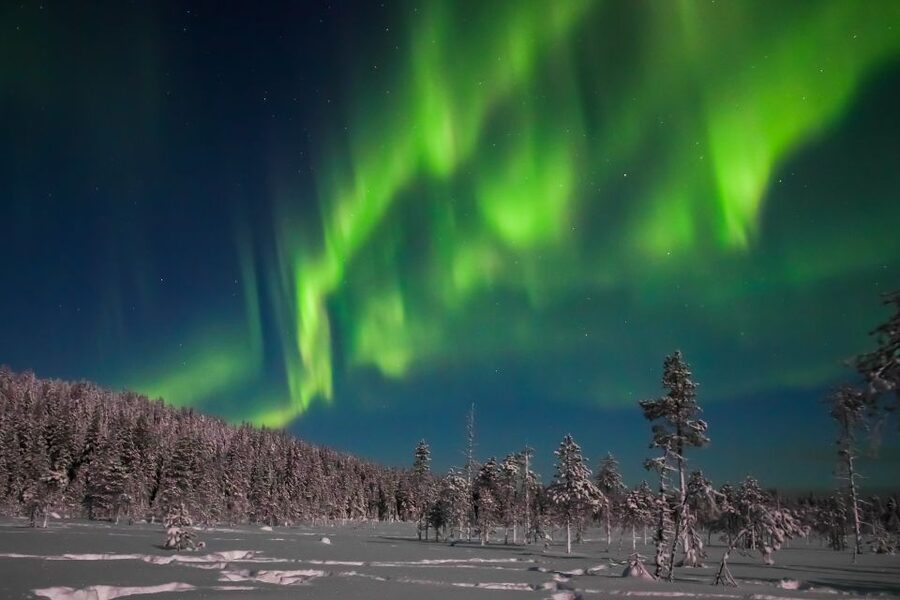 Rovaniemi: Aurora Borealis and Picnic - Why a no-aurora evening can still work