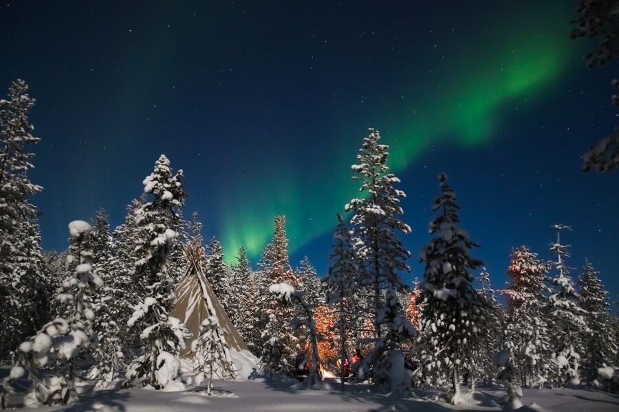 Rovaniemi: Aurora Borealis and Picnic - Waiting beside the fire in the snow