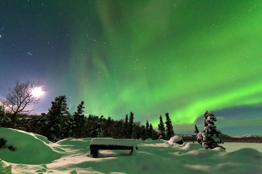 Rovaniemi: Aurora Borealis Snowmobile Safari with Campfire - Through snowy forests and across open country