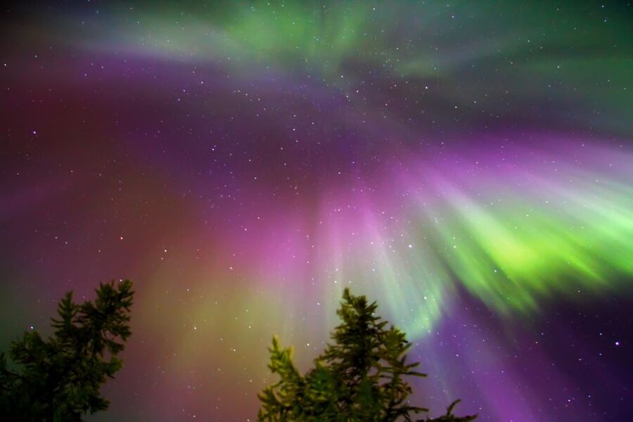 Rovaniemi: Aurora Borealis Snowmobile Safari with Campfire - A hot drink beside the fire