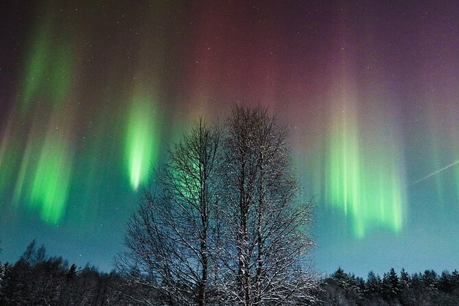 Rovaniemi: Aurora Hunt with Photograph & money back guarantee - Key points to know before booking