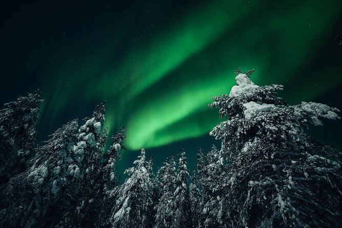 Rovaniemi: Aurora Hunt with Photograph & money back guarantee - Is $167.74 a fair price?