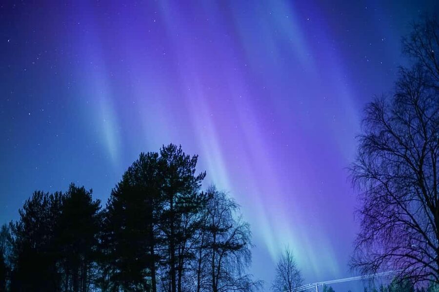 Rovaniemi: Aurora hunting and a fireside BBQ experience - Practical tips for a warmer, better night