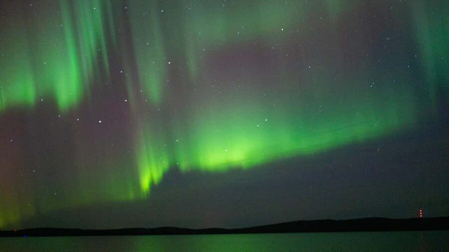 Rovaniemi: Aurora hunting and a fireside BBQ experience - Should you book the Rovaniemi aurora BBQ?
