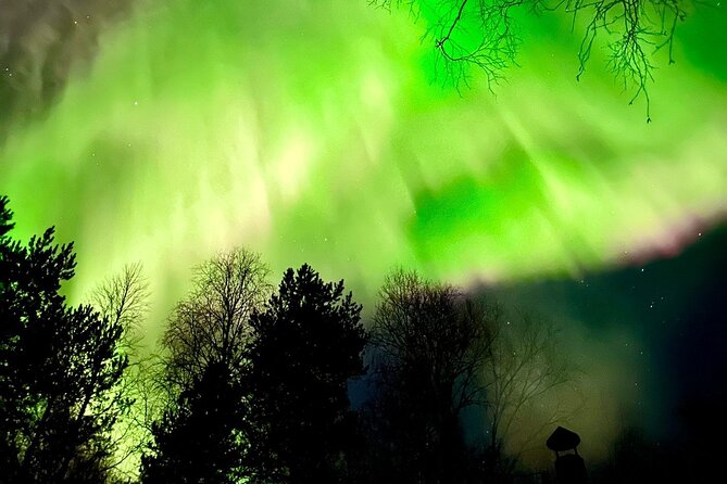 Rovaniemi: Aurora Hunting & Photography Tour - Booking, pickup, and cancellation details