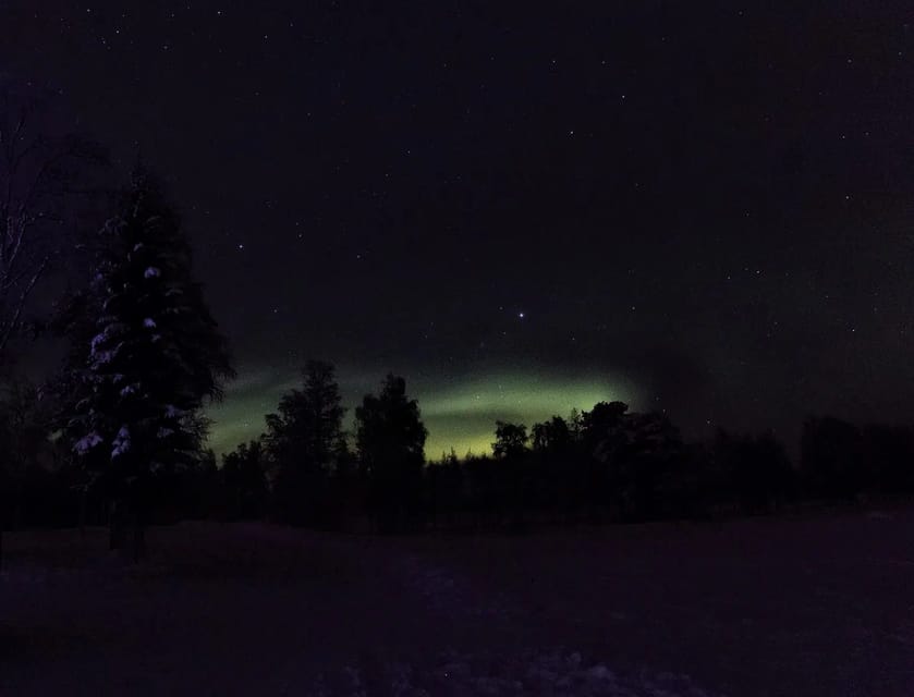 Rovaniemi: Aurora Hunting Tour in the Forest with Hot Drinks - Key points to know before booking