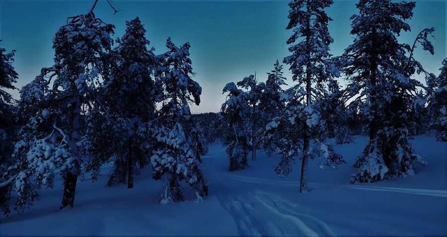 Rovaniemi: Aurora Hunting Tour in the Forest with Hot Drinks - Searching several spots for the Northern Lights
