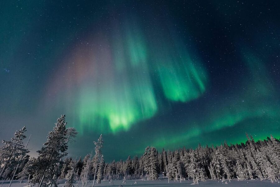 Rovaniemi: Aurora Hunting Tour in the Forest with Hot Drinks - Walking the frozen river in the dark