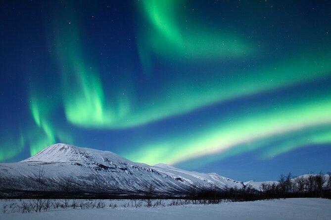Rovaniemi Aurora Hunting Tour - The first viewing stop in the Arctic dark