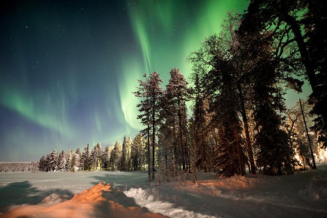Rovaniemi AURORA PASS: 3-5 Days Unlimited Northern Lights chasing Pass - Key points to know before booking