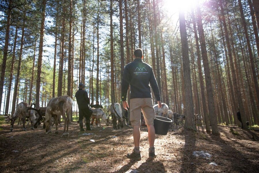 Rovaniemi: Authentic Reindeer Farm & Canoeing - Who will enjoy this four-hour outing