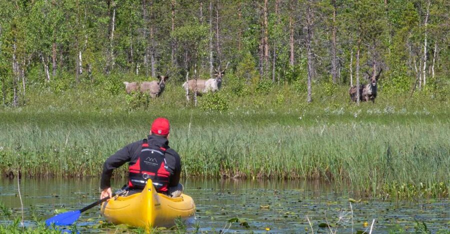 Rovaniemi: Authentic Reindeer Farm & Canoeing - Campfire stories and hot drinks