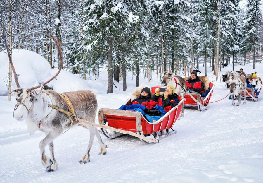 Rovaniemi: Authentic Reindeer Farm Visit & Short Sleigh Ride - Meeting Lapland’s most recognizable animal