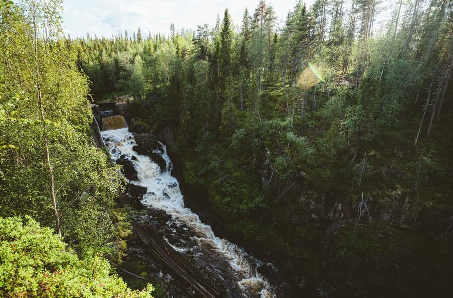 Rovaniemi: Auttiköngäs Waterfalls Hike Tour & Barbeque - What the guide adds to the walk