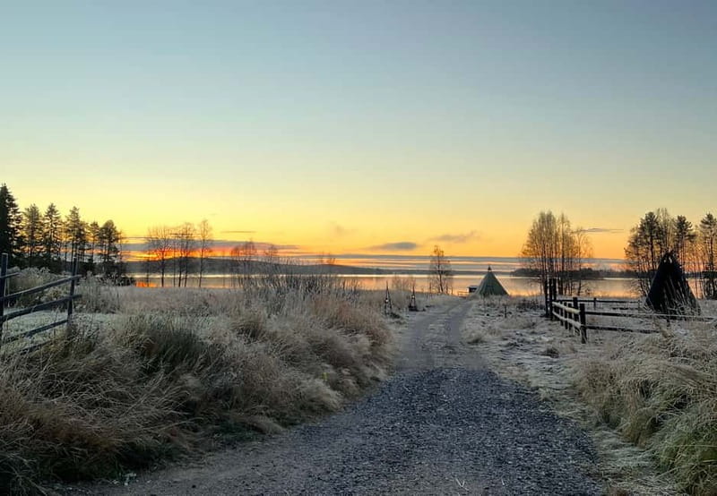 Rovaniemi: Autumn Husky Ride on Wheels - Learning to guide the husky carriage