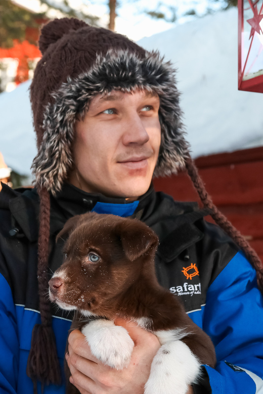 Rovaniemi: Daytime Husky Safari - Taking the bus from Rovaniemi to the kennel