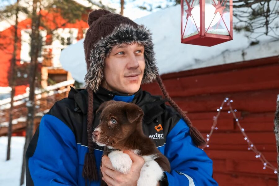 Rovaniemi: Daytime Husky Safari - Through the forest and over frozen water