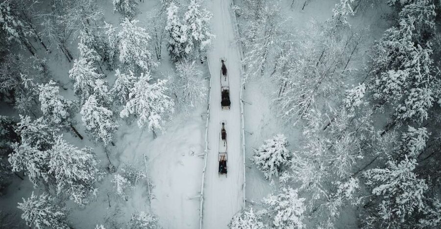Rovaniemi: Daytime Reindeer Sleigh Ride - Meeting your reindeer herder near central Rovaniemi