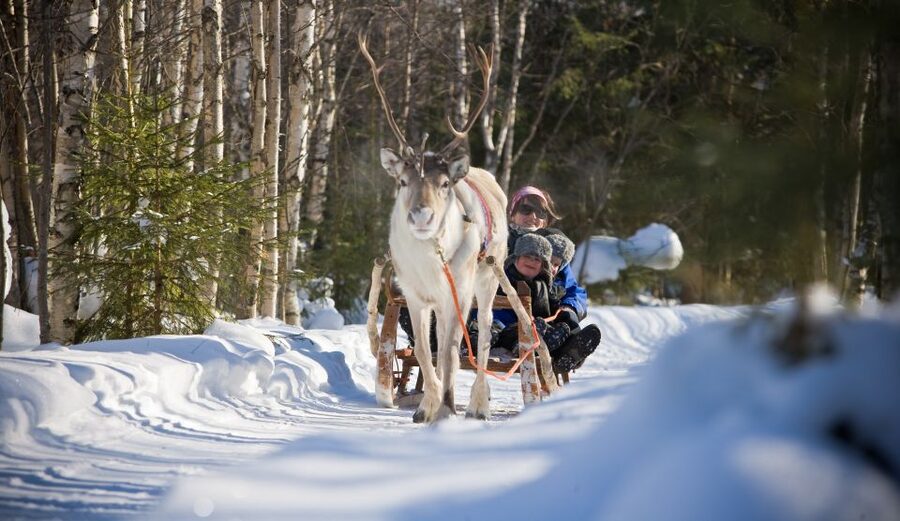 Rovaniemi: Daytime Reindeer Sleigh Ride - What the two-hour schedule means for value