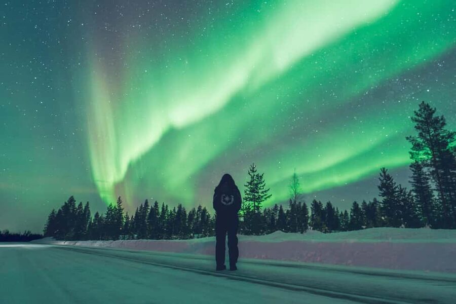 Rovaniemi: Discover the Northern Lights Photography Tour - Secret stop two: fire, food, and a longer Arctic pause