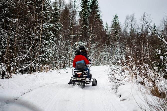 Rovaniemi: Drive New 2025 Snowmobiles on Arctic Safari & BBQ - Key points to know before you book