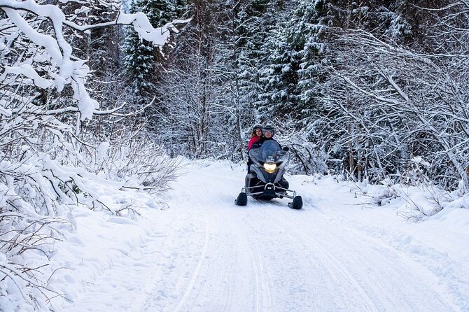 Rovaniemi: Drive New 2025 Snowmobiles on Arctic Safari & BBQ - Group size and the reality of the schedule